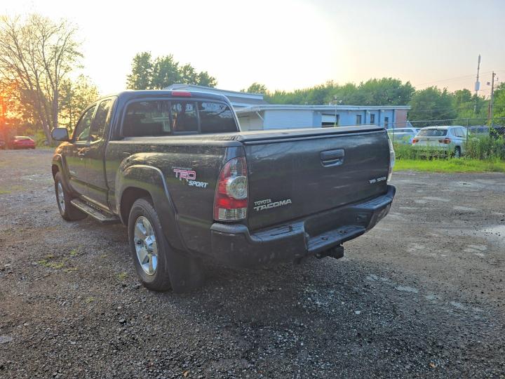 2009 Toyota Tacoma VIN 5TEUU42N29Z609836 COPART salvage auction — MINOR DENT/SCRATCHES, MA - CERTIFICATE OF TITLE (P), sold $725 on 2026-07-31 (photo 3)