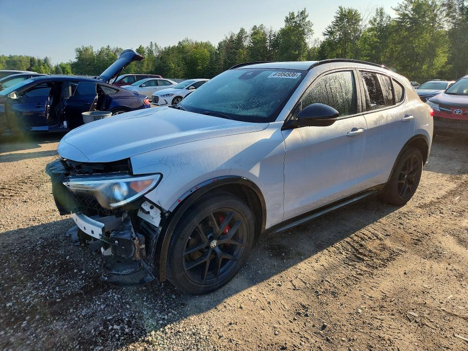 2020 Alfa romeo Stelvio VIN ZASPAKBN7L7C88053 — COPART salvage auction photo
