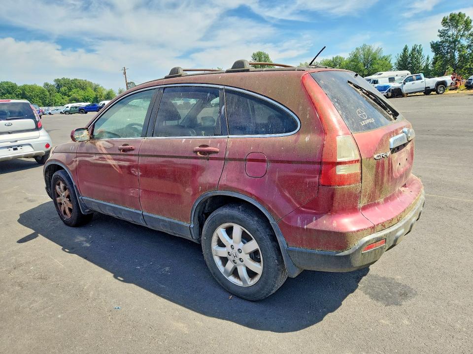 2007 Honda Cr-v VIN JHLRE48787C122585 COPART salvage auction — MINOR DENT/SCRATCHES, OR - NON PUBLIC CLEAN TITLE, sold $600 on 2026-07-22 (photo 2)