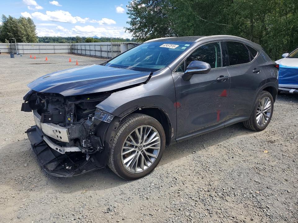 2024 Lexus NX 350h VIN 2T2HKCEZXRC024598 — COPART salvage auction photo