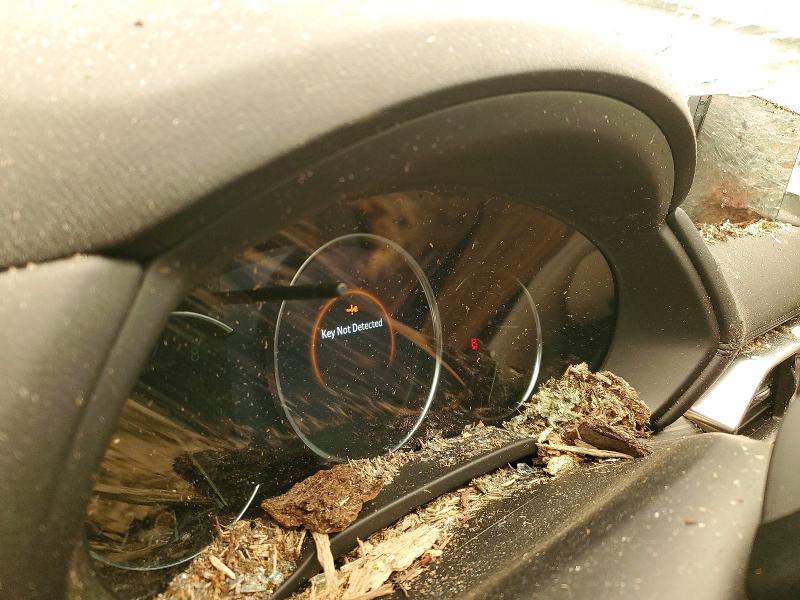 2023 Mazda Cx-5 VIN JM3KFBDMXP0193324 COPART salvage auction — ROOF, Salvage Title, sold $1,450 on 2026-08-24 (photo 9)