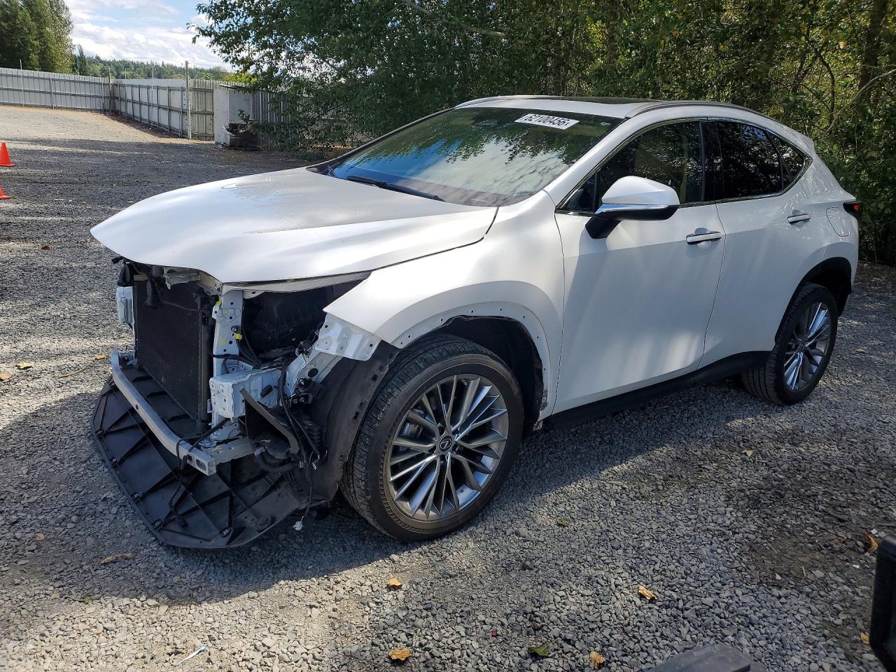 2023 Lexus NX 350h VIN 2T2GKCEZ9PC010278 — COPART salvage auction photo