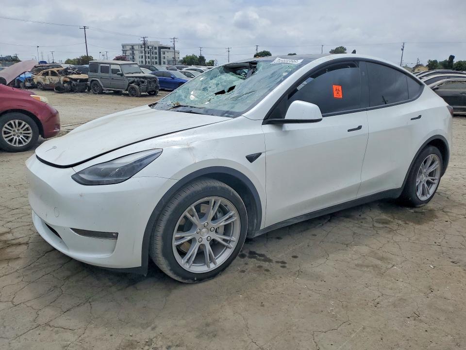 2024 Tesla Model y VIN 7SAYGAEE9RF016000 — COPART salvage auction photo