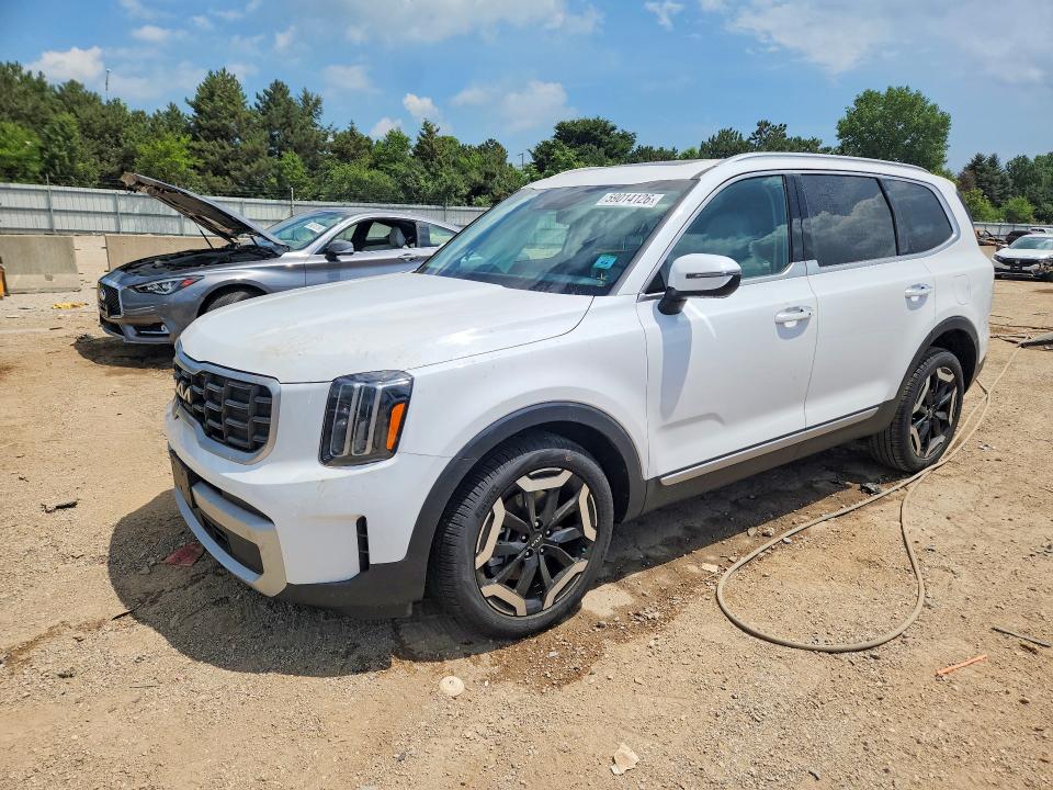 2025 Kia Telluride VIN 5XYP6DGC5SG725644 — COPART salvage auction photo