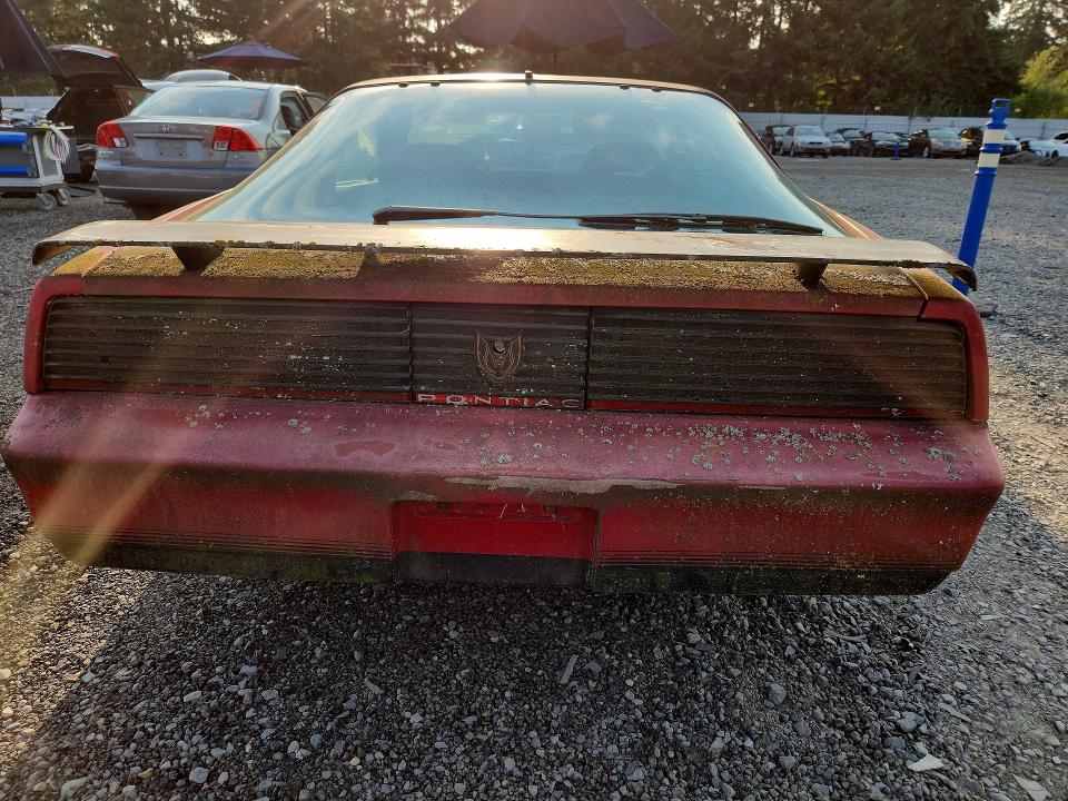 1982 Pontiac Firebird VIN 1G2AW8779CL558084 COPART salvage auction — MINOR DENT/SCRATCHES, Wa - Vehicle Cert Of Ownership-Titl, sold $125 on 2026-07-24 (photo 6)