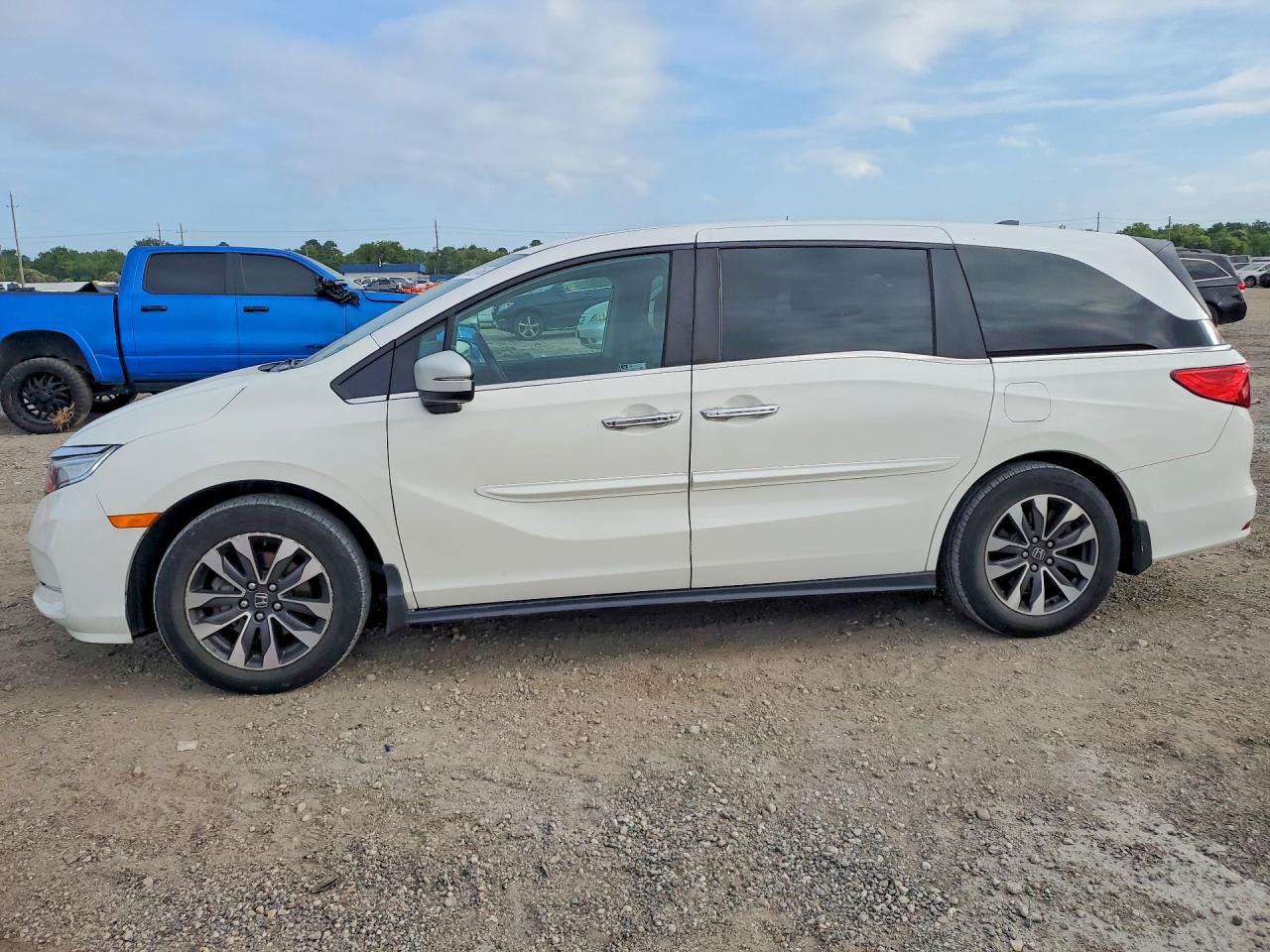 2024 Honda Odyssey VIN 5FNRL6H6XRB007868 — COPART salvage auction photo