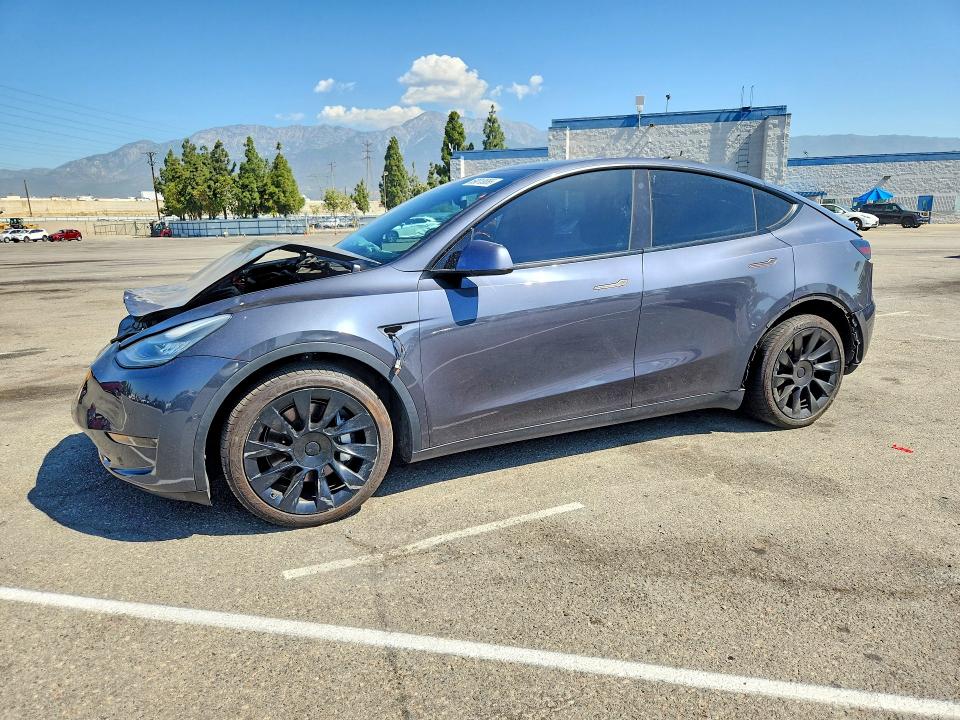 2021 Tesla Model y VIN 5YJYGDEE6MF159560 — COPART salvage auction photo