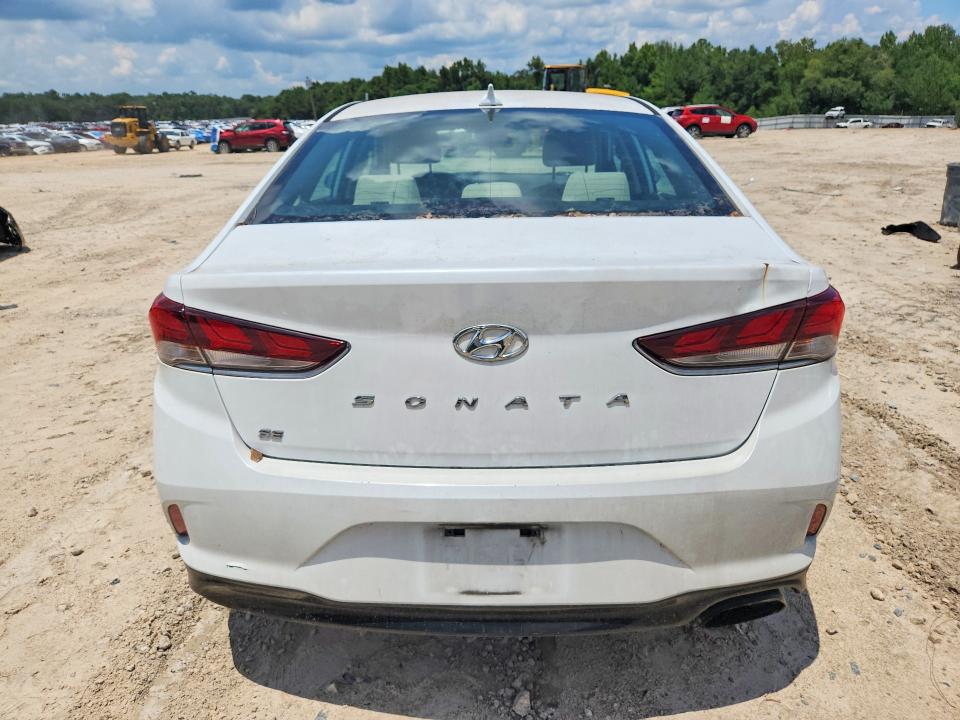 2019 Hyundai Sonata VIN 5NPE24AF7KH814355 COPART salvage auction — MINOR DENT/SCRATCHES, Fl - Certificate Of Title, sold $10 on 2026-07-31 (photo 6)