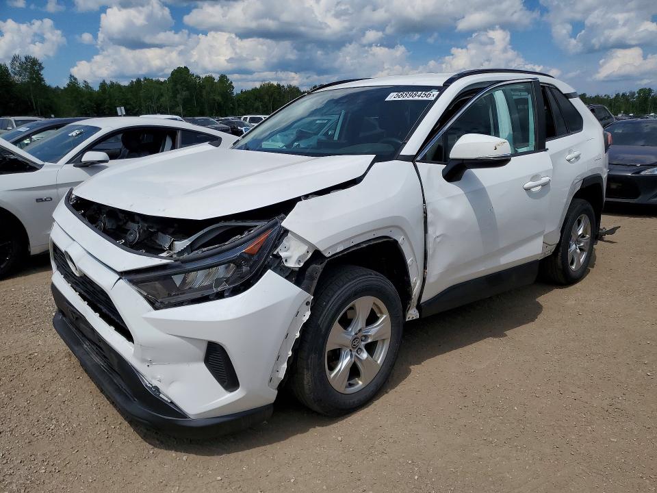 2019 Toyota Rav4 VIN 2T3B1RFV6KW036206 — COPART salvage auction photo