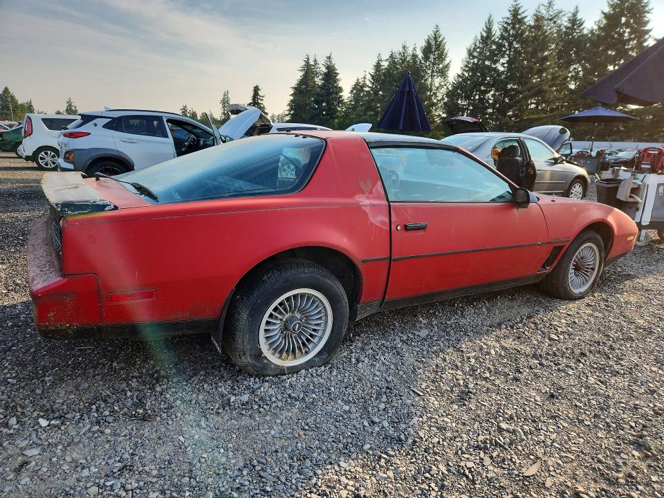 1982 Pontiac Firebird VIN 1G2AW8779CL558084 COPART salvage auction — MINOR DENT/SCRATCHES, Wa - Vehicle Cert Of Ownership-Titl, sold $125 on 2026-07-24 (photo 3)