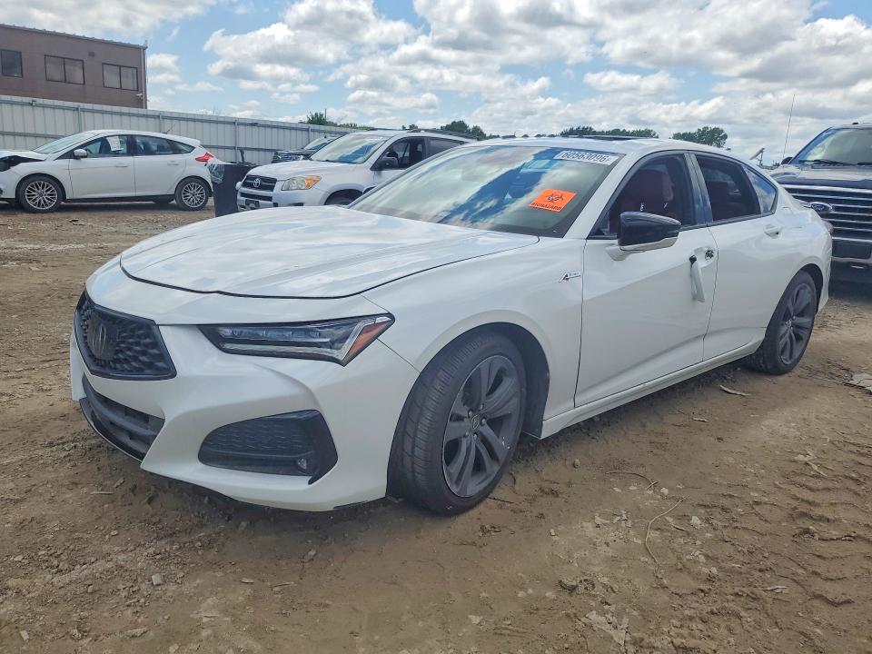 2021 Acura Tlx VIN 19UUB5F53MA011538 COPART salvage auction — VANDALISM, Mi - Dealer Only Clean Title, sold $15,000 on 2026-07-28 (photo 1)
