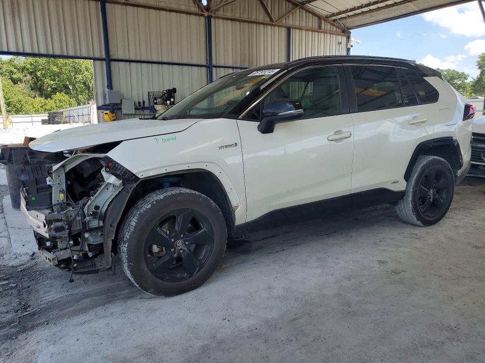 2019 Toyota Rav 4 VIN 2T3EWRFV9KW005692 — COPART salvage auction photo