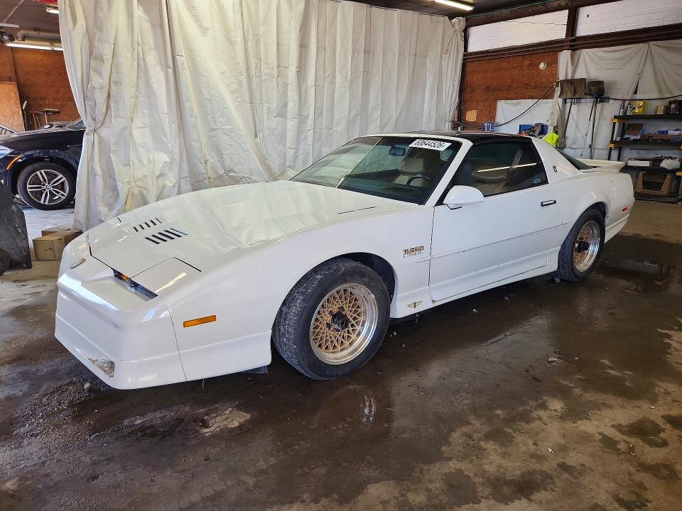 1989 Pontiac Firebird VIN 1G5FW2176KL243126 — COPART salvage auction photo