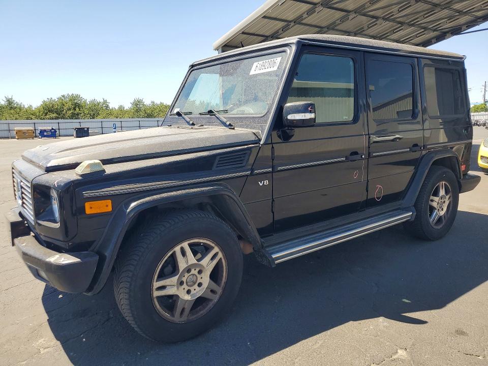 2003 Mercedes-benz G-klasse VIN WDCYR49E53X141408 — COPART salvage auction photo