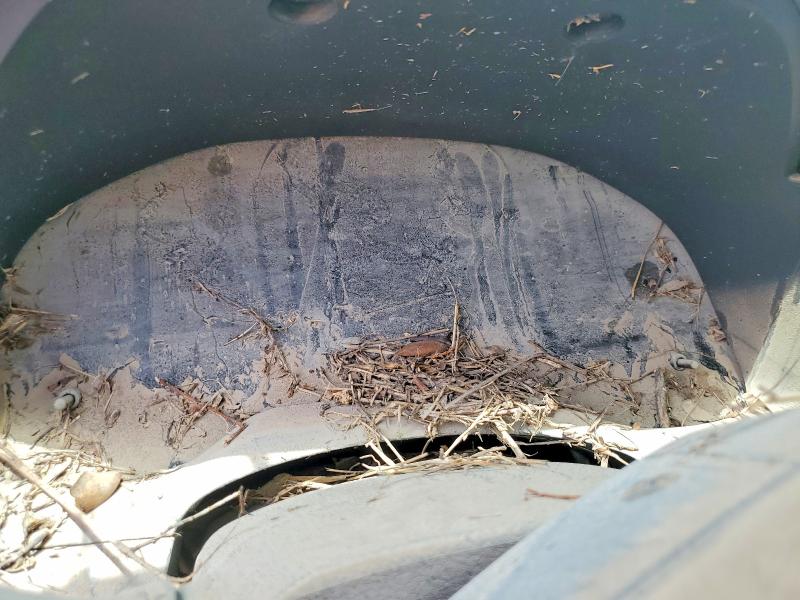 2020 Toyota Tundra VIN 5TFDY5F14LX891221 COPART salvage auction — WATER/FLOOD, Tx - Salvage Title-Flood Damage, sold $10,600 on 2026-07-29 (photo 9)