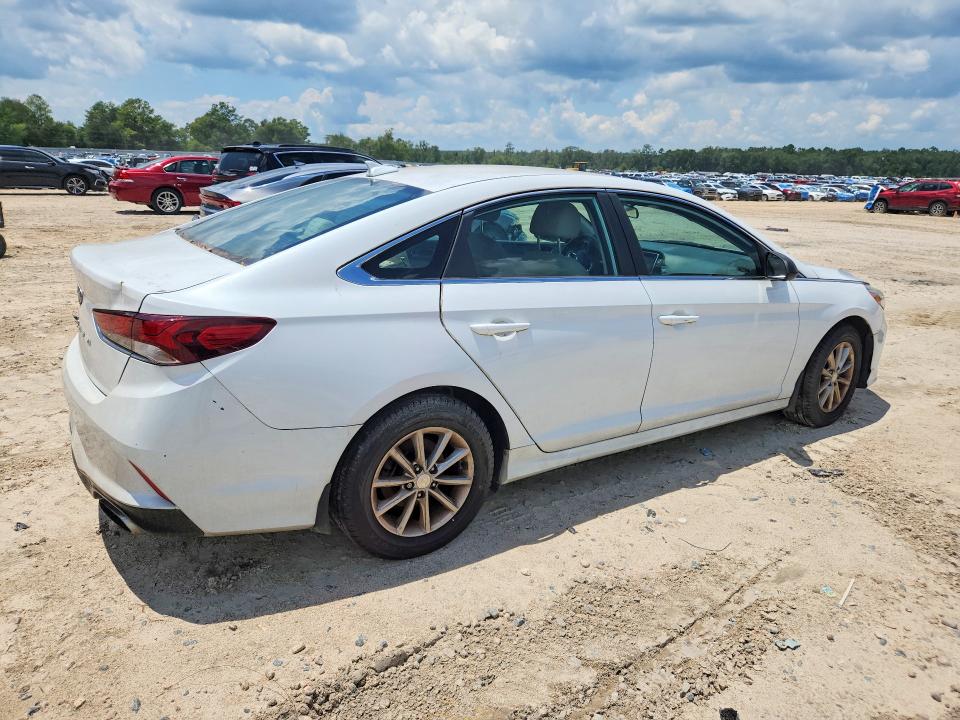 2019 Hyundai Sonata VIN 5NPE24AF7KH814355 COPART salvage auction — MINOR DENT/SCRATCHES, Fl - Certificate Of Title, sold $10 on 2026-07-31 (photo 3)