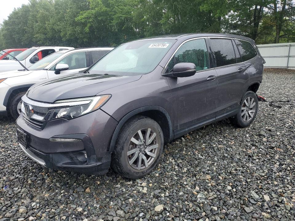 2019 Honda Pilot VIN 5FNYF6H39KB081684 — COPART salvage auction photo