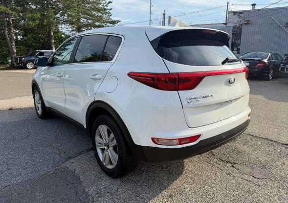 2019 Kia Sportage VIN KNDPM3AC8K7623258 COPART salvage auction — NORMAL WEAR, Ma - Certificate Of Title (P), sold $3,950 on 2026-07-17 (photo 3)