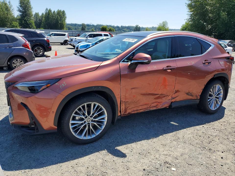 2026 Lexus Nx VIN 2T2HKCEZ3TC063508 — COPART salvage auction photo