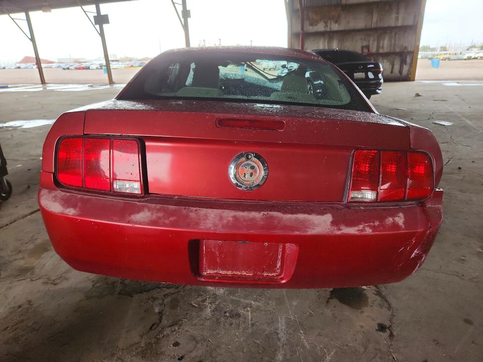 2005 Ford Mustang VIN 1ZVFT80N955152197 COPART salvage auction — FRONT END, AZ - CERTIFICATE OF TITLE (P), sold $475 on 2026-09-09 (photo 6)