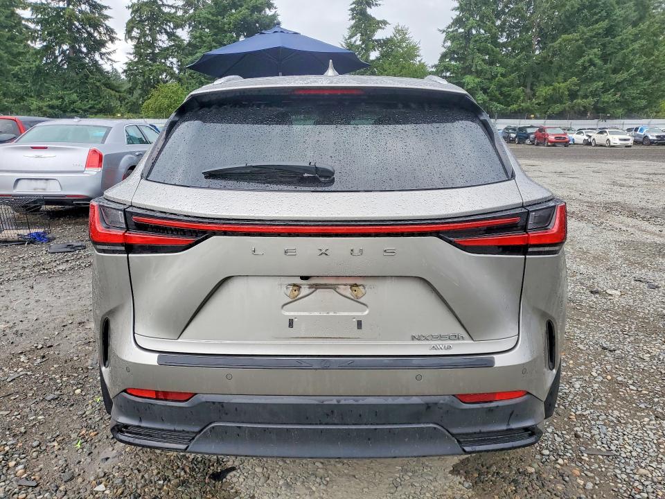 2024 Lexus Nx VIN 2T2GKCEZ9RC029741 COPART salvage auction — SIDE, WA - BILL OF SALE, sold $24,100 on 2026-07-28 (photo 6)