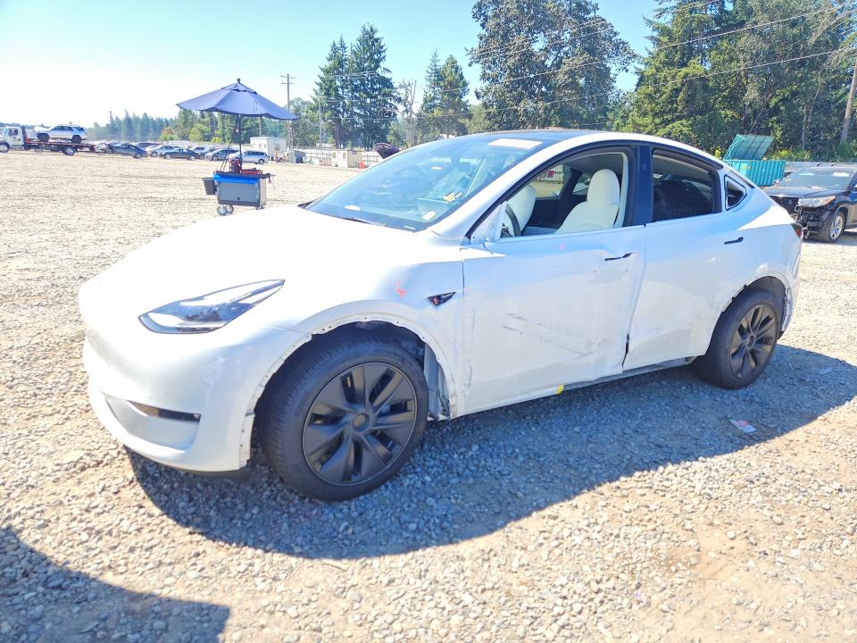 2025 Tesla Model y VIN 7SAYGAEEXSF299383 — COPART salvage auction photo