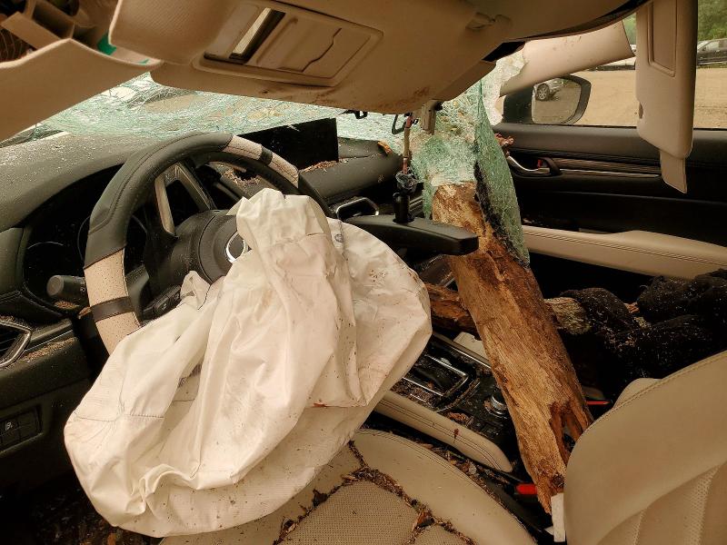 2023 Mazda Cx-5 VIN JM3KFBDMXP0193324 COPART salvage auction — ROOF, Salvage Title, sold $1,450 on 2026-08-24 (photo 8)