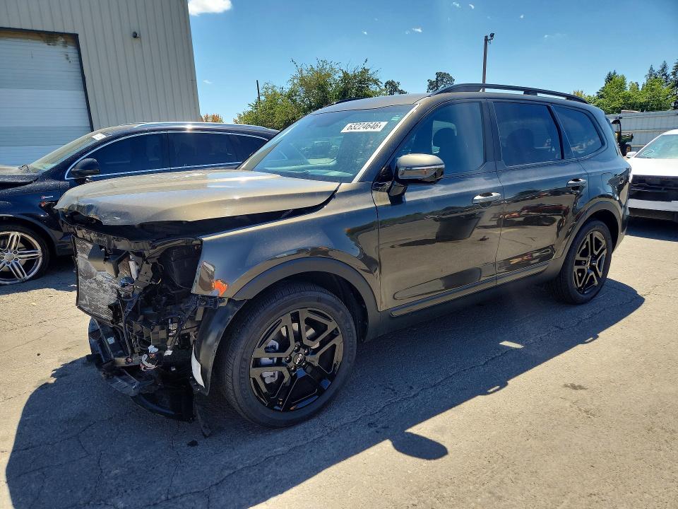 2024 Kia Telluride VIN 5XYP5DGC5RG563351 — COPART salvage auction photo