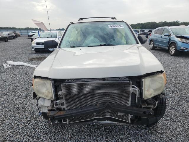 2009 Ford Escape VIN 1FMCU02749KC80482 COPART salvage auction — SIDE, Fl - Cert Of Title Slvg Rebuildable, sold $15 on 2026-07-31 (photo 5)