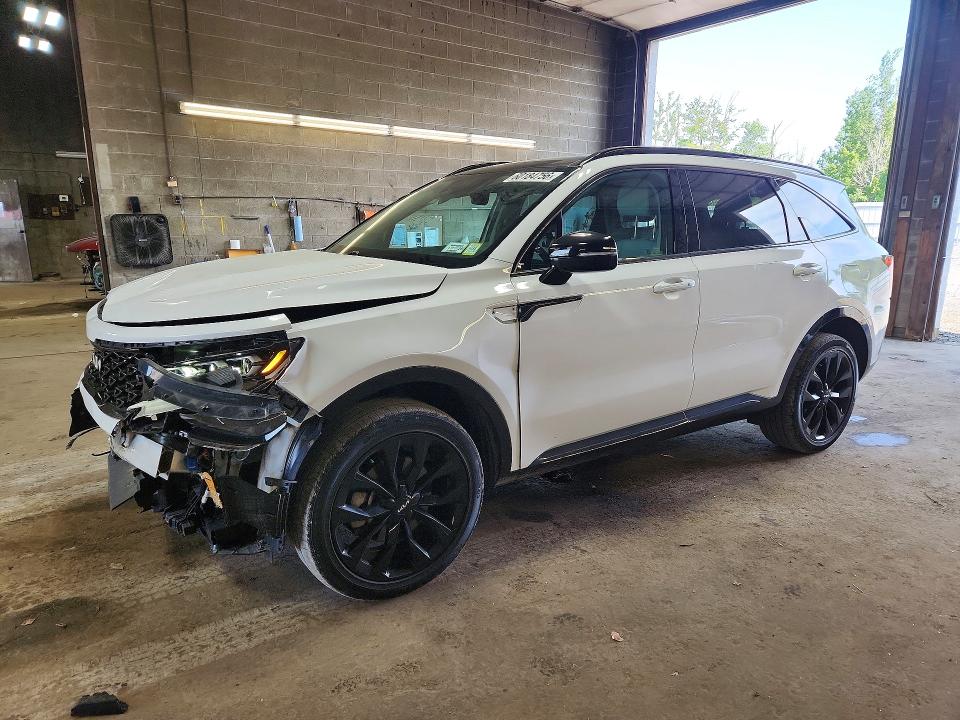2023 Kia Sorento VIN 5XYRKDLF0PG246303 — COPART salvage auction photo