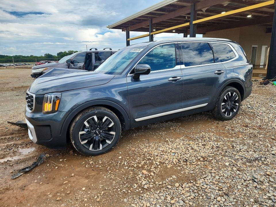 2024 Kia Telluride VIN 5XYP54GC2RG529058 — COPART salvage auction photo