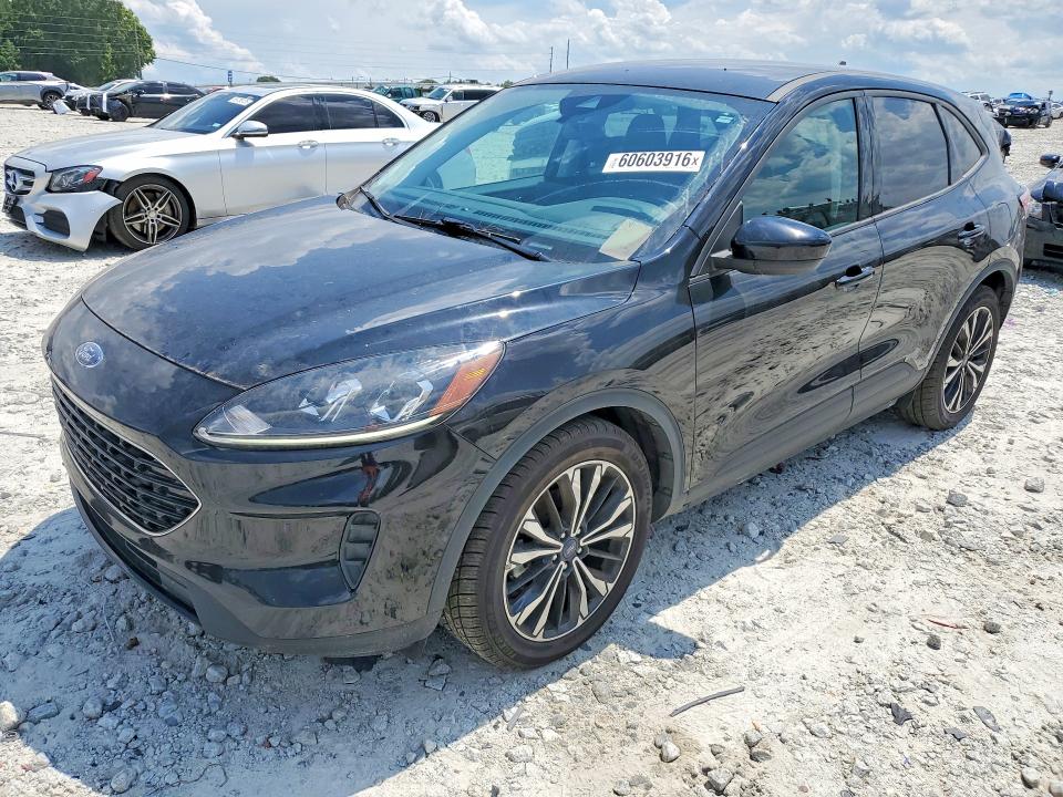 2022 Ford Escape VIN 1FMCU0G67NUB95991 COPART salvage auction — MINOR DENT/SCRATCHES, Salvage Title, sold $2,550 on 2026-08-03 (photo 1)