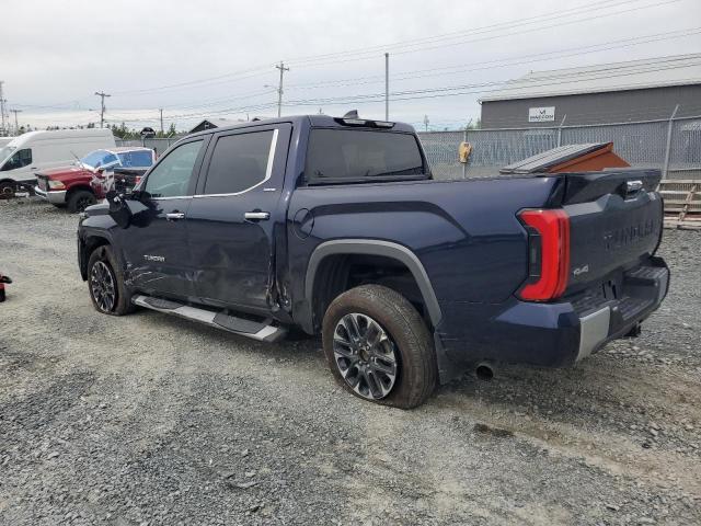 2023 Toyota Tundra VIN 5TFJA5DB0PX088883 COPART salvage auction — Side, Salvage Title, sold $37,500 on 2025-09-18 (photo 2)