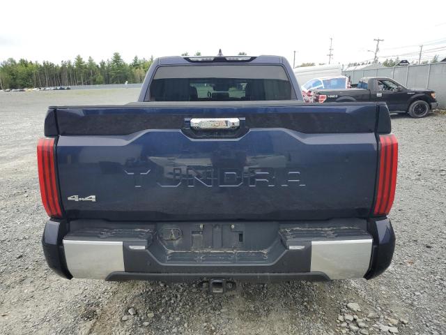 2023 Toyota Tundra VIN 5TFJA5DB0PX088883 COPART salvage auction — Side, Salvage Title, sold $37,500 on 2025-09-18 (photo 6)