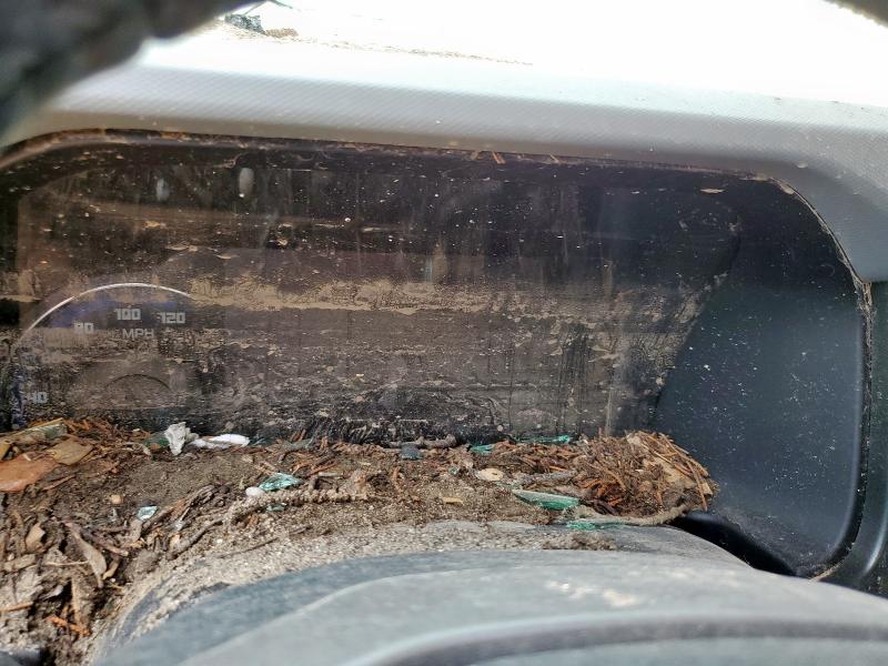 2023 Ford Bronco VIN 1FMEE5DP1PLC02975 COPART salvage auction — WATER/FLOOD, Tx - Salvage Title-Flood Damage, sold $3,100 on 2026-07-02 (photo 9)