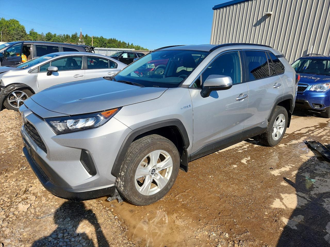 2021 Toyota RAV4 VIN 2T3M6RFV6MW009682 — COPART salvage auction photo