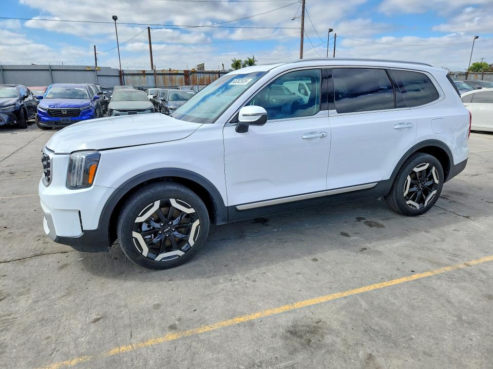 2024 Kia Telluride VIN 5XYP64GC8RG562997 — COPART salvage auction photo