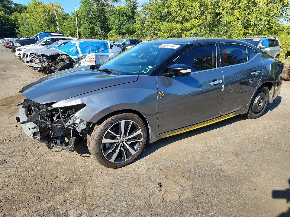2023 Nissan Maxima VIN 1N4AA6CV0PC511329 — COPART salvage auction photo