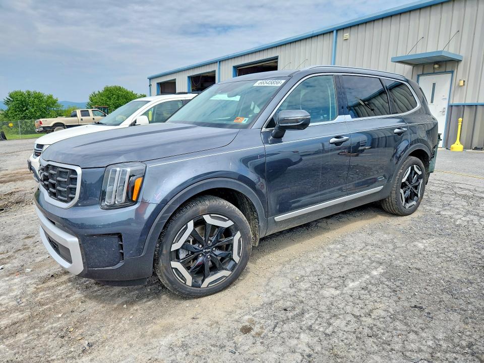 2024 Kia Telluride VIN 5XYP6DGC5RG559541 — COPART salvage auction photo