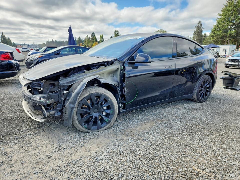 2022 Tesla Model y VIN 7SAYGDEE9NF481923 — COPART salvage auction photo