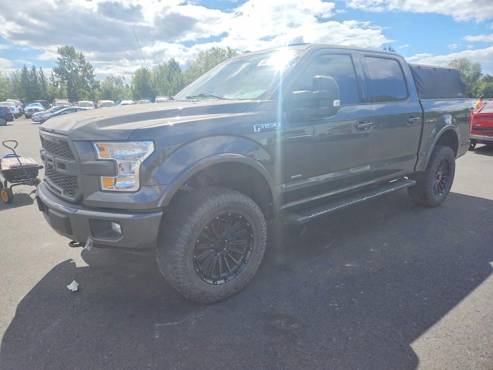 2017 Ford F-150 VIN 1FTEW1EG4HKE30579 — COPART salvage auction photo