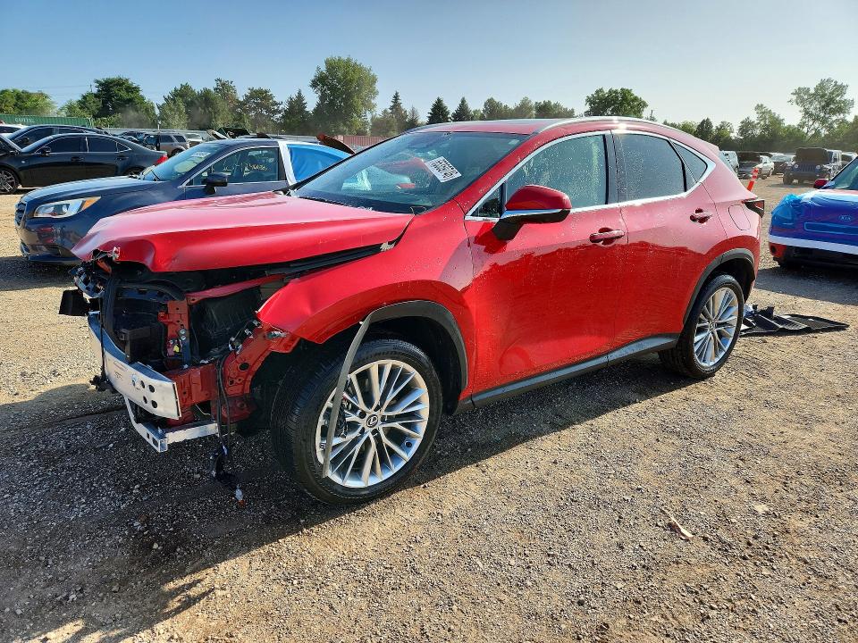 2025 Lexus Nx VIN 2T2GKCEZ8SC049999 — COPART salvage auction photo