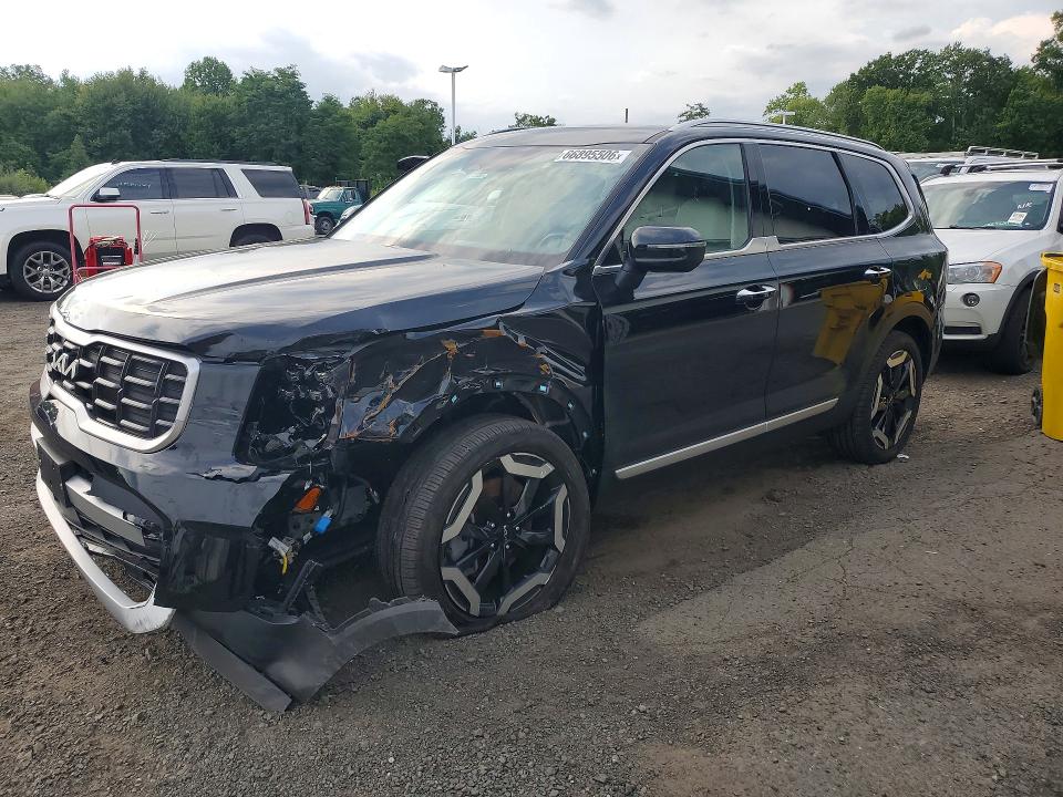 2025 Kia Telluride VIN 5XYP6DGC7SG653295 — COPART salvage auction photo