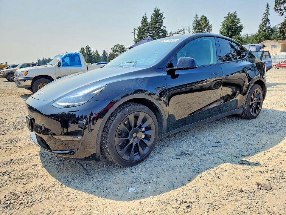 2023 Tesla Model y VIN 7SAYGDEEXPF753673 — COPART salvage auction photo