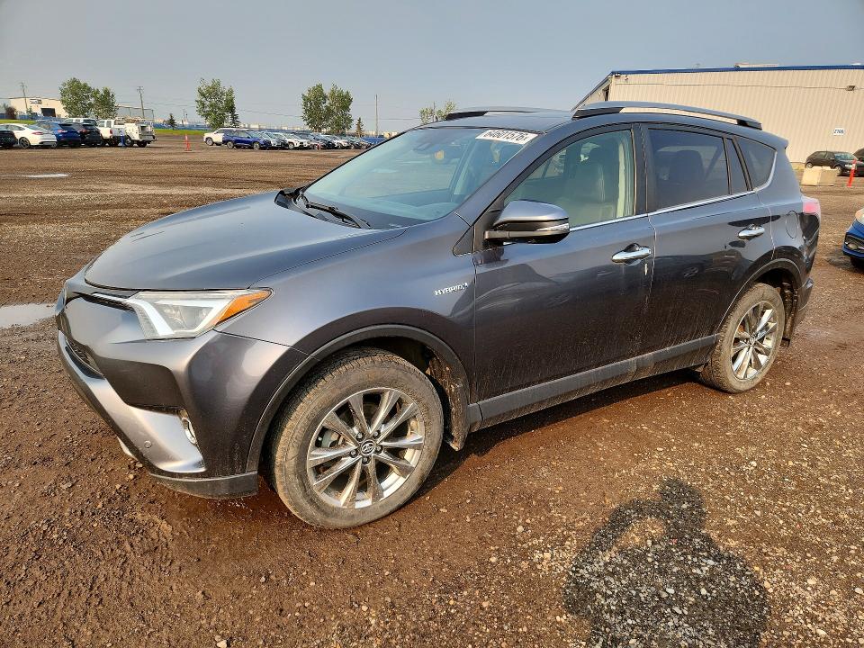 2017 Toyota Rav 4 VIN JTMDJREV1HD093199 — COPART salvage auction photo