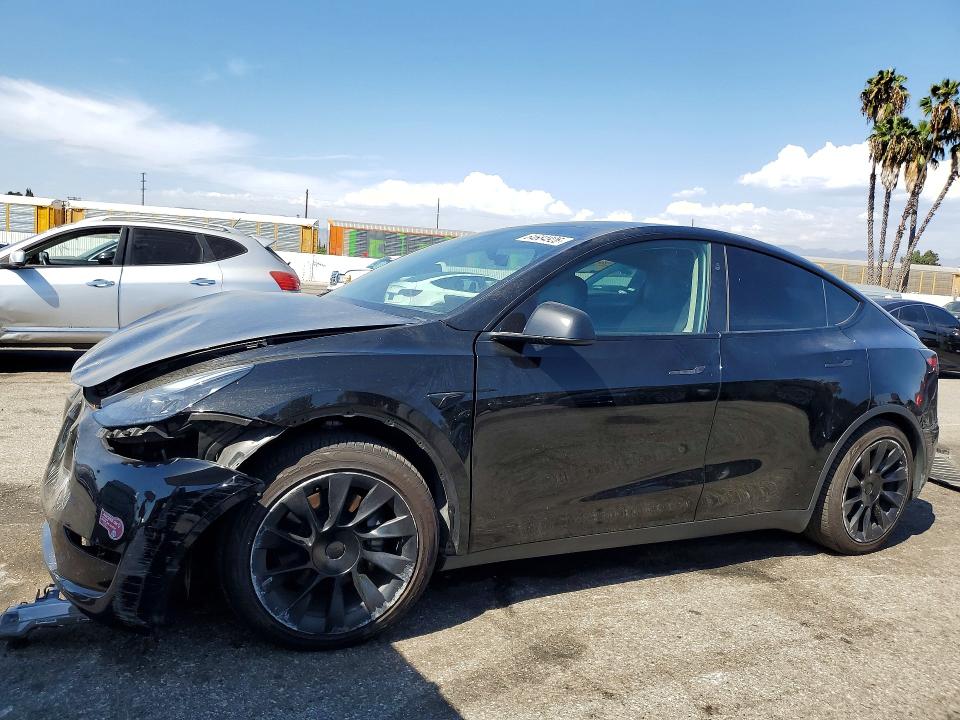 2024 Tesla Model y VIN 7SAYGDED3RF057666 — COPART salvage auction photo