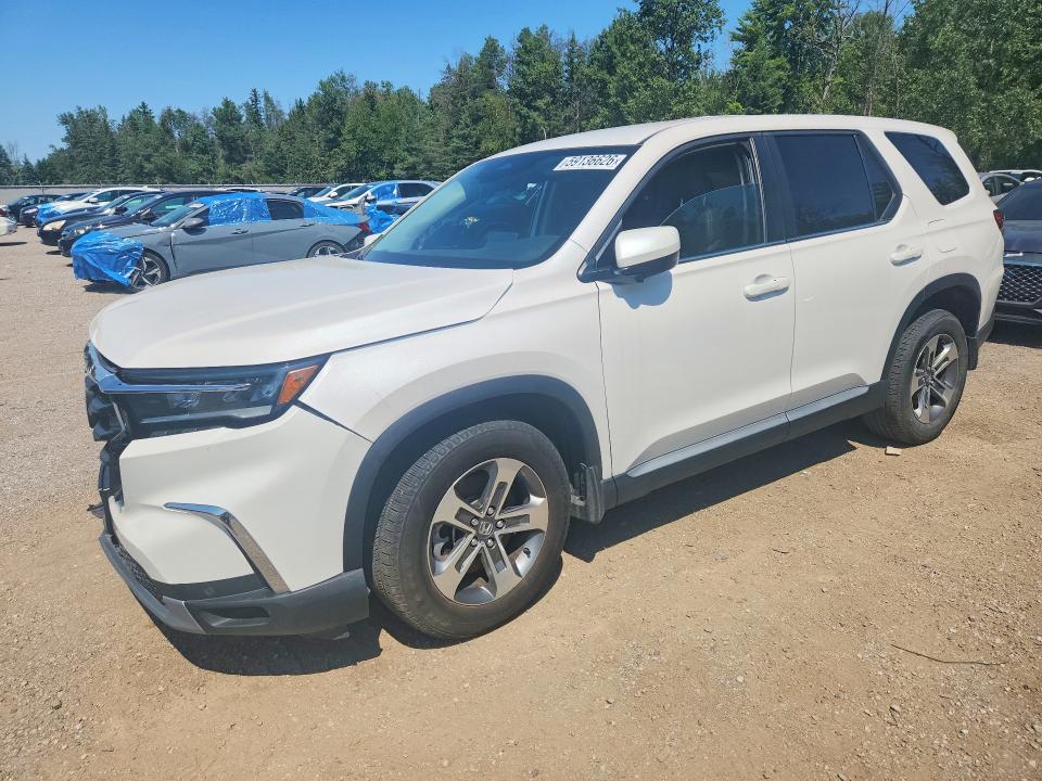 2024 Honda Pilot VIN 5FNYG1H46RB501940 — COPART salvage auction photo