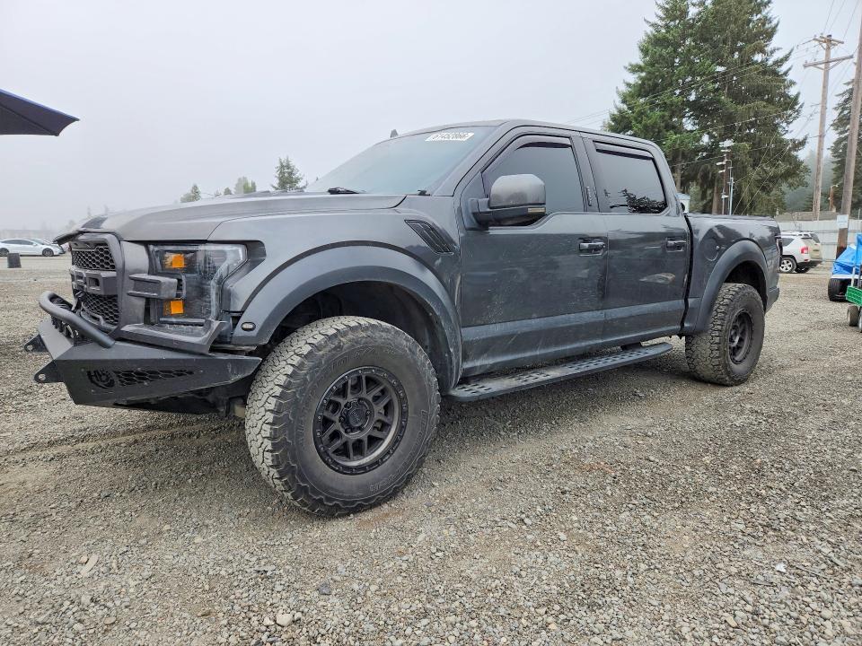 2019 Ford F-150 VIN 1FTFW1RG3KFB67029 — COPART salvage auction photo