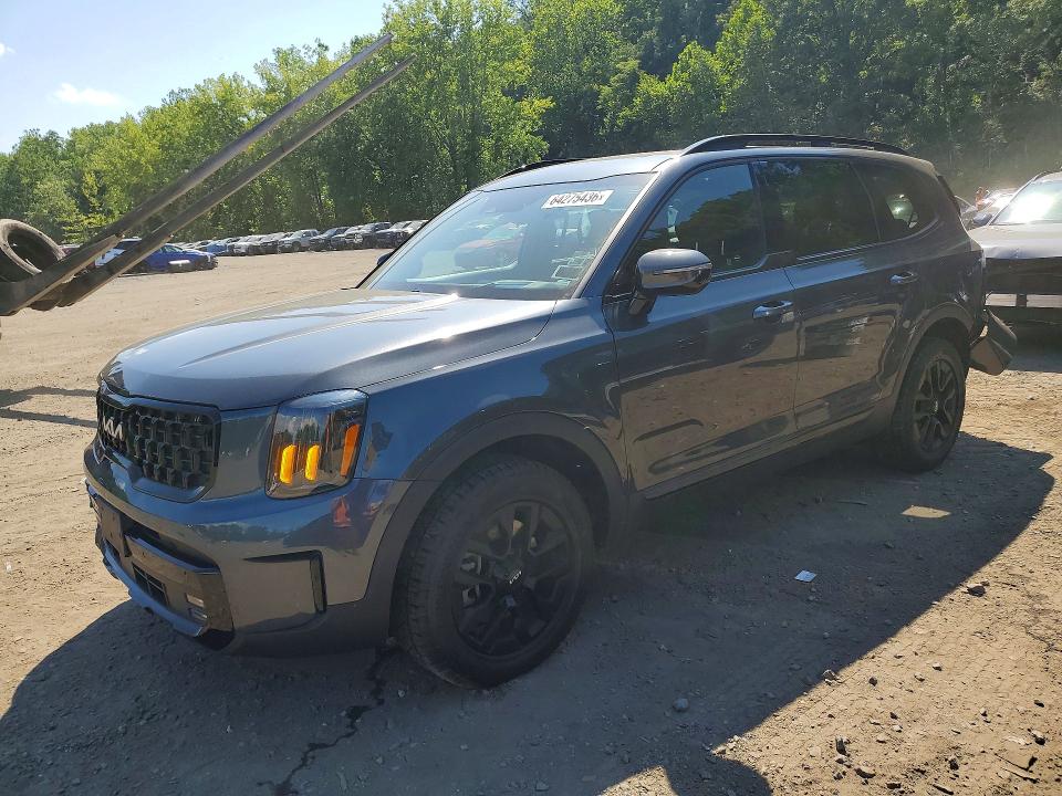 2024 Kia Telluride VIN 5XYP5DGCXRG526831 — COPART salvage auction photo
