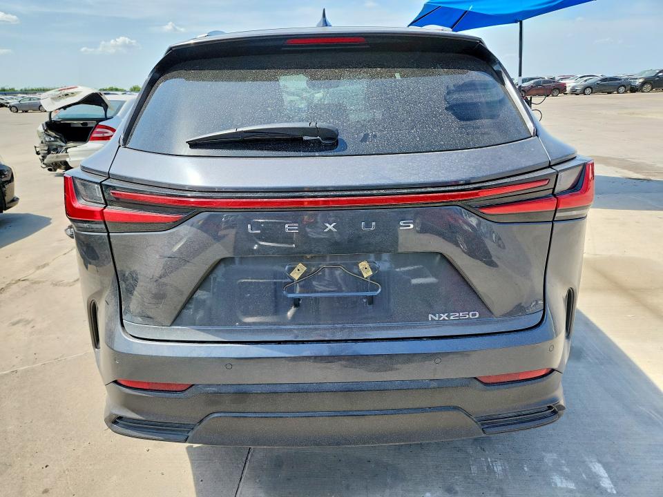 2024 Lexus Nx VIN 2T2GDCAZ4RC014483 COPART salvage auction — FRONT END, Tx - Salvage Vehicle Title, sold $14,400 on 2026-08-27 (photo 6)